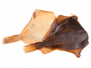 Пелядь холодного копчения: Камбала холодного копчения